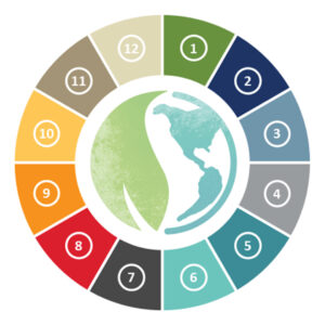 sustainability standouts wheel
