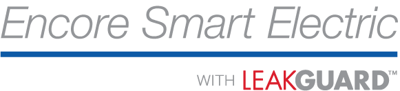Smart Electric Logo